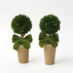 Ribboned Potted Boxwood Ball (Pair)