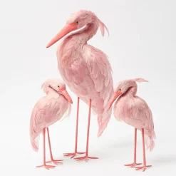 Saskia Stork Family