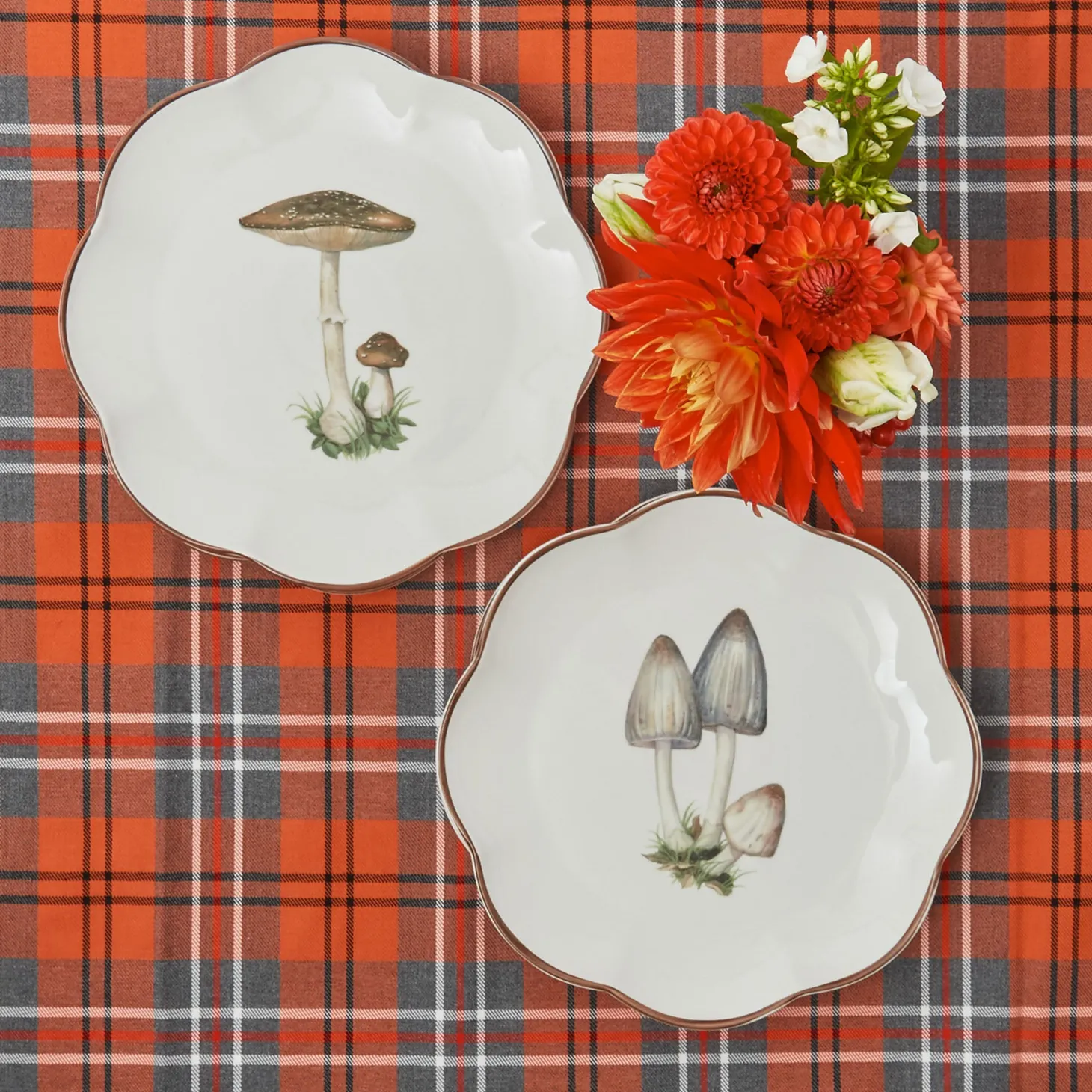 Scalloped Mushroom Starter Plates (Set of 4)
