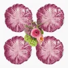 Serena Aubergine Cabbage Starter Plates (Set of 4)