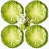 Serena Green Cabbage Dinner & Starter Plates (Set of 8)