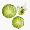 Serena Green Cabbage Starter Plate