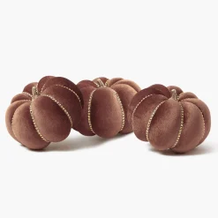 Small Chocolate Velvet Pumpkin (Trio)