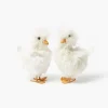 Small Fluffy Goslings (Pair)