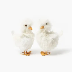 Small Fluffy Goslings (Pair)