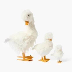 Small Fluffy Goslings (Pair)