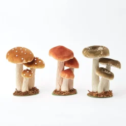 Small Mixed Mushroom Set