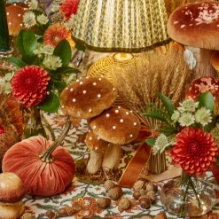 Small Mixed Mushroom Set