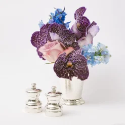 Sterling Silver Salt & Pepper Set (Pair)