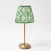 Tall Rechargeable Lamp with Green Ikat Shade (18cm)